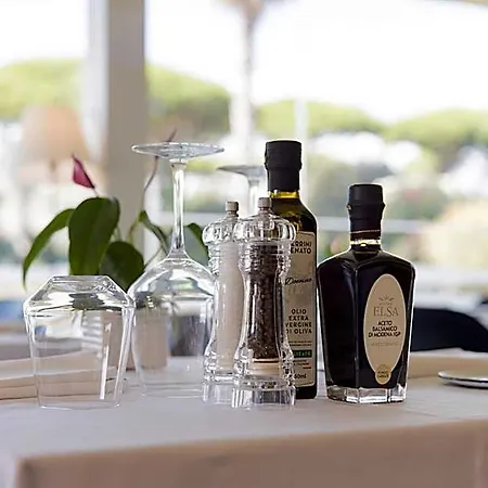 Hotel Viareggio Hotel 4*