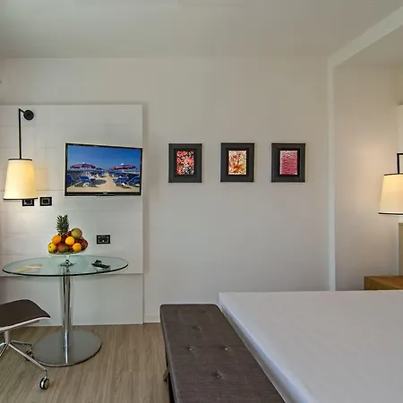 Hotel Hotel Viareggio Viareggio