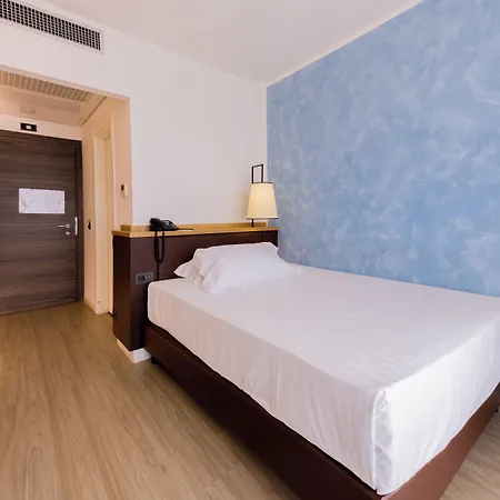 Hotel Hotel Viareggio
