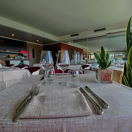 Hotel Hotel Viareggio Viareggio