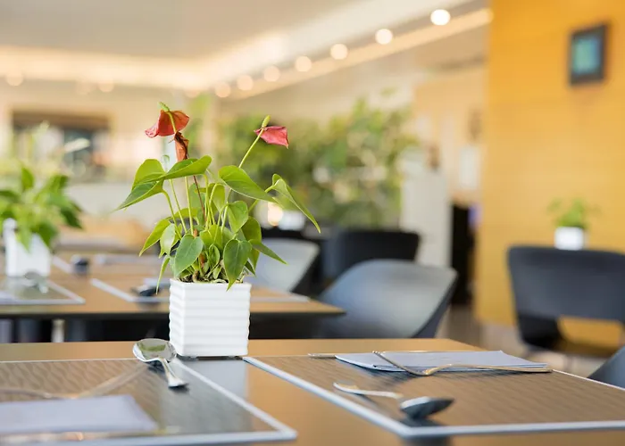 Hotel Viareggio Hotel